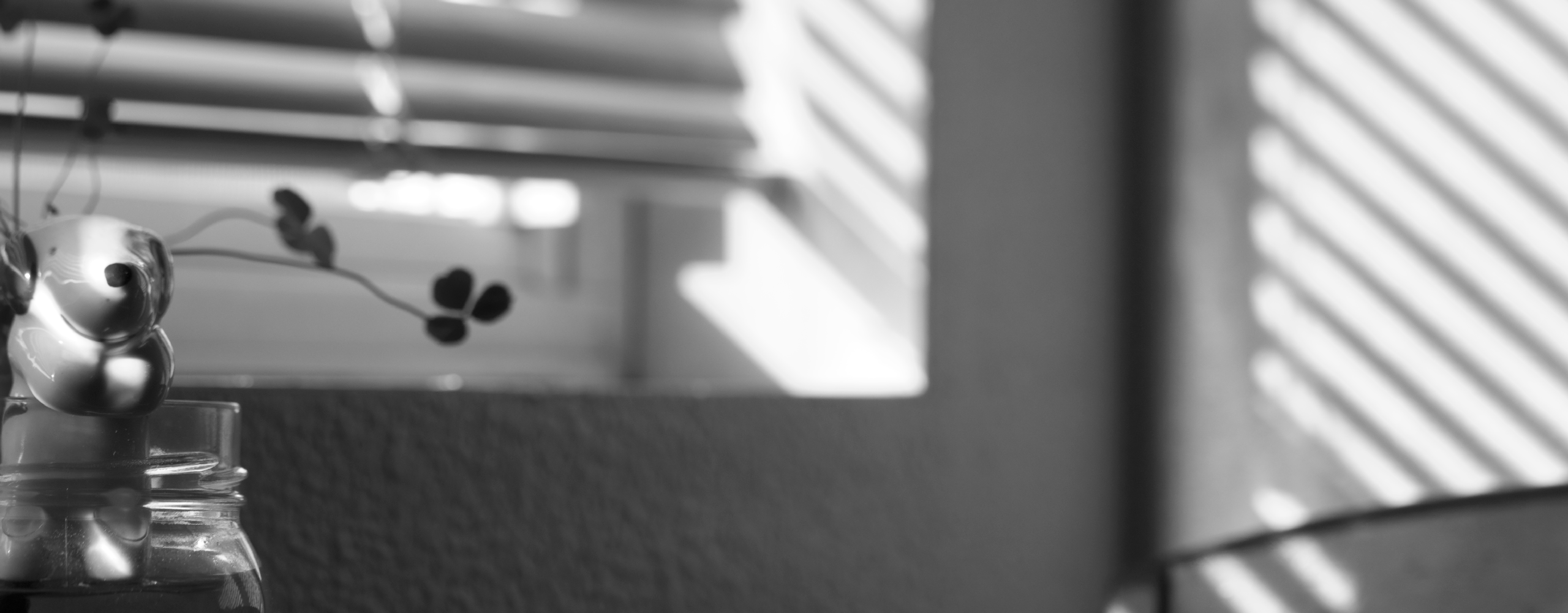 Blurry Small Plant Zoom GIF