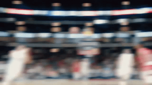 Blurry Stadium Crowd GIF