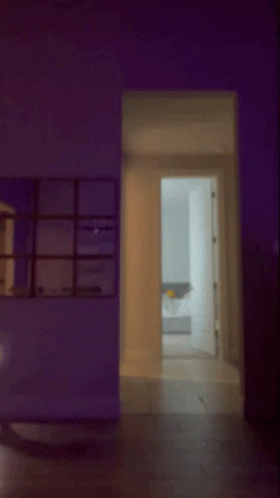 Blurry Two People Dancing Purple Lights