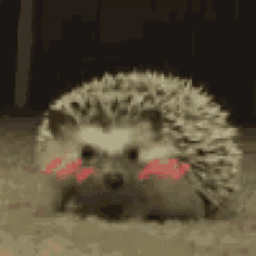 Hedgehog Animated Blush GIF