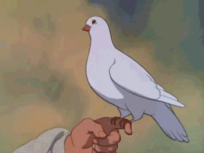 Blushing Pigeon Snow White GIF