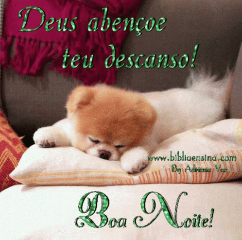 Boa Noite Deus Abencoe Teu Descanso GIF