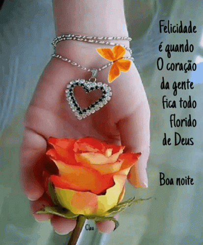 Boa Noite Felicidade E Quando GIF