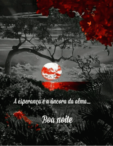 Boa Noite Red Moonlight GIF