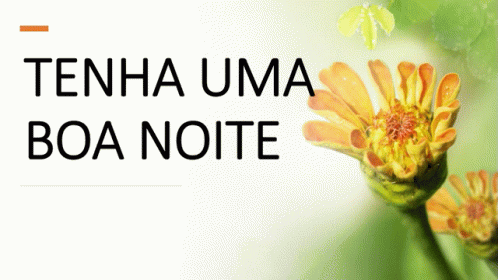 Boa Noite Tenha Uma GIF