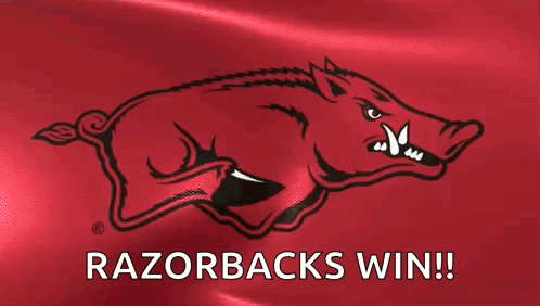Boar Saying Razorbacks Win