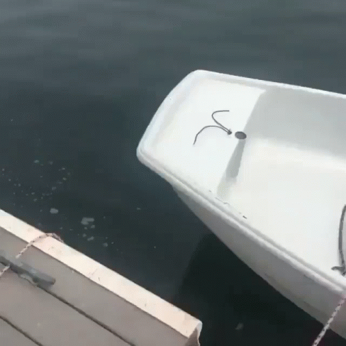 Boat Motor Legs GIF