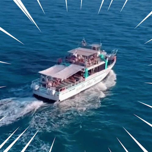 Boat Saying Dolphin GIF
