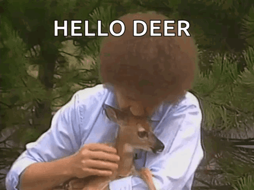 Bob Ross Holding Deer Hello Deer