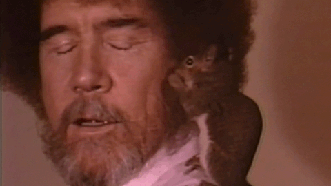 Bob Ross Interacting With Squirrel GIF
