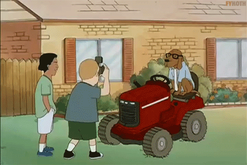 Bobby Hill As Photographer GIF