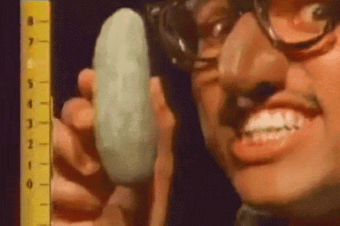 Bobby Womack Pickle GIF