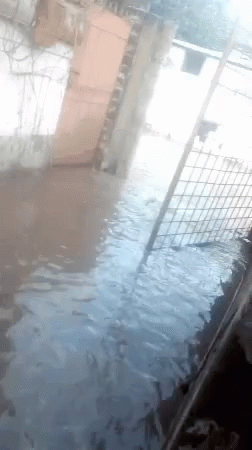 Body of Water Surrounded by Fence and Building