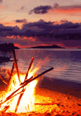 Boho Campfire GIF