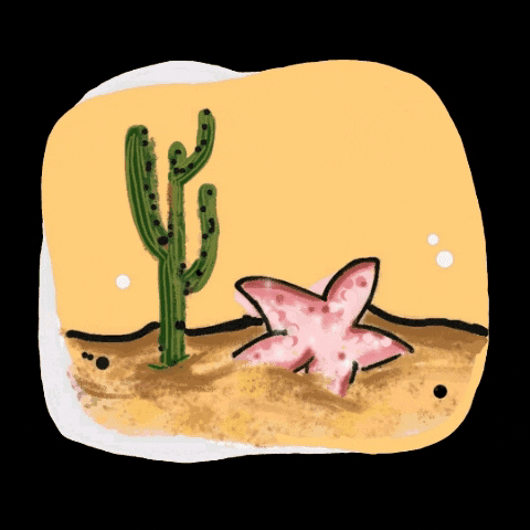 Boho Illustration Of Cactus GIF
