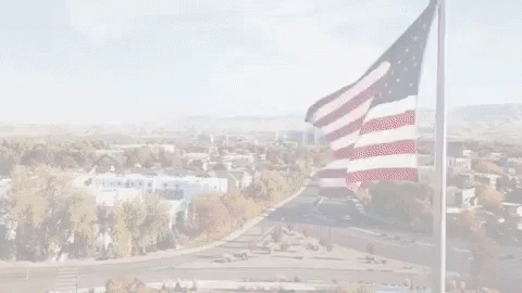 Boisestate Bleedblue GIF