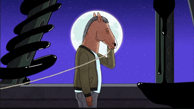 Bojack Horseman Meme GIF