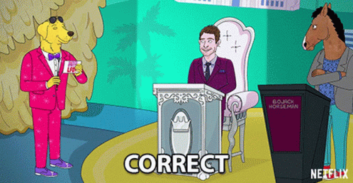 Bojack Horseman Show Correct GIF