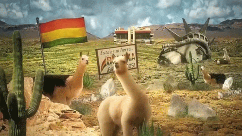 Bolivia Animated Alpaca GIF
