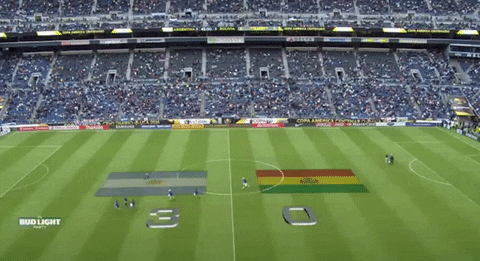 Bolivia Football Field GIF