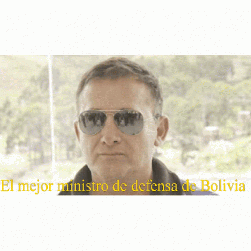 Bolivia Minister Defense GIF