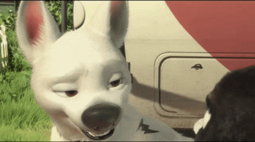 Bolt Animated Dog GIF