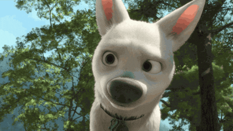 Bolt Moving Its Ears Disney GIF