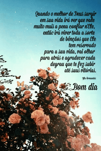Bom Dia Aesthetic Quotes GIF