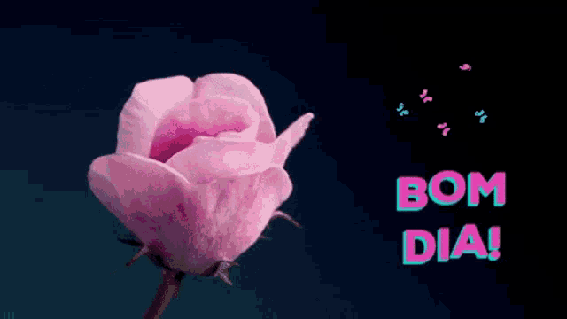 Bom Dia Blooming Flower GIF