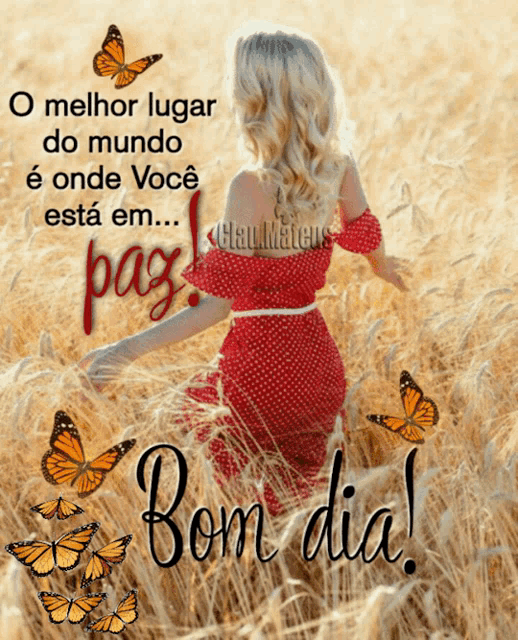 Bom Dia Butterflies Woman GIF
