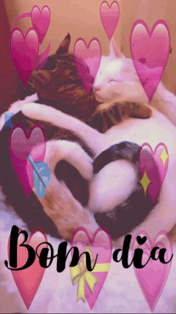 Bom Dia Cats Cuddle GIF