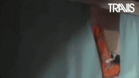 Bom Dia Dougie Payne GIF