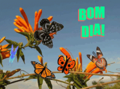Bom Dia Flowers Butterflies GIF