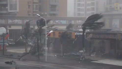 Bomb Cyclone Featuring Fallen Trees And Damaged Store GIF