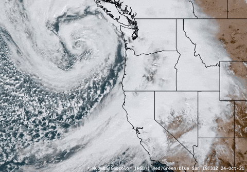 Bomb Cyclone Going To Northeast GIF