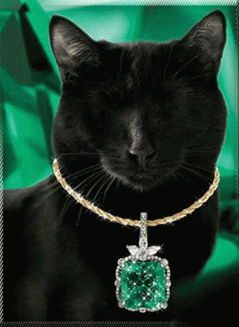Bombay Cat Emerald Jewelry GIF