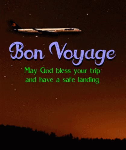 Bon Voyage Airborne Plane Mobile Art GIF