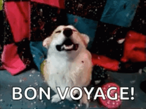 Bon Voyage Cute Corgi Dog GIF