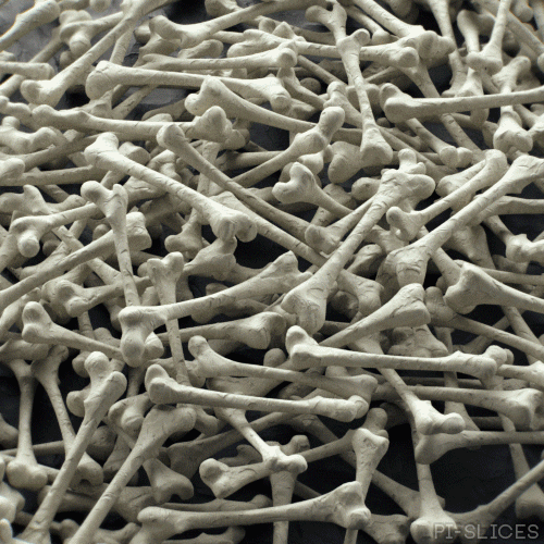 Bone Collection Halloween Art GIF