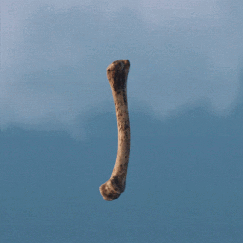 Bone Flying Spin Loop A Space Odyssey Movie GIF