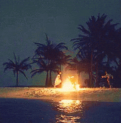 Bonfire By The Beach Dancing GIF