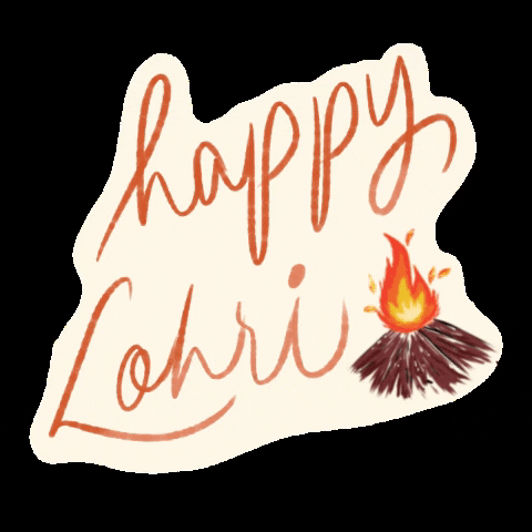 Bonfire Happy Lohri Day GIF