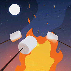 Bonfire S'mores Anyone GIF