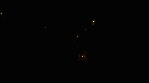 Bonfire With Friends GIF