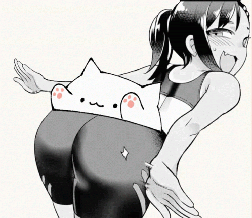 Bongo Cat 498 X 431 Gif GIF
