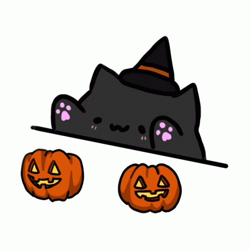 Black Bongo Cat Dressed As Witch GIF
