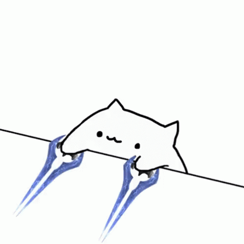 Bongo Cat GIF