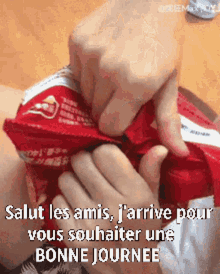 Bonjour Surprise Cat In Bag Of Chips GIF