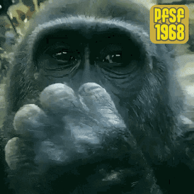 Booger Monkey Gif GIF