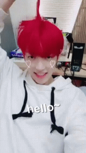 Book Em Danno Kim Hong Joong Hello GIF